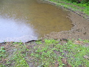 DSC09722