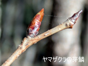 PXL_20260301_014722561