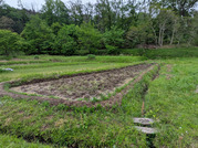 PXL_20260429_043529655