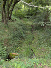 PXL_20260804_035936697