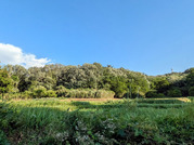 PXL_20260529_074634698