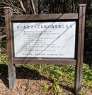 PXL_20260301_042326825