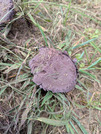 PXL_20260828_042927928