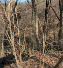 PXL_20260301_052904151