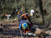 PXL_20260109_015935190