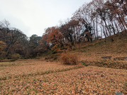 PXL_20251214_034805600