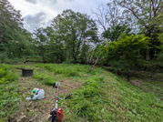 PXL_20260504_083909653