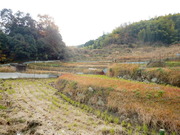 DSCN1530