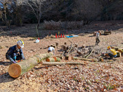 PXL_20251216_025703338