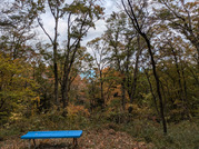 PXL_20251117_235310570