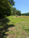 PXL_20260510_014852122
