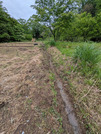 PXL_20260427_032327482