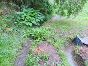DSC09731