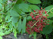 PXL_20260604_022345501