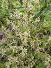 PXL_20260419_072615756