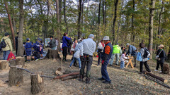 PXL_20251116_015120317