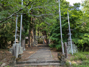 PXL_20260511_054615538