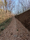 PXL_20260301_055553821