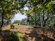 PXL_20260531_042531724