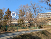 PXL_20260317_053125395