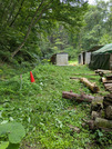 PXL_20260717_025425835