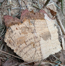 PXL_20260224_074937930