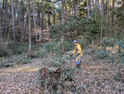 PXL_20260123_003720333