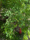 PXL_20260518_022346883