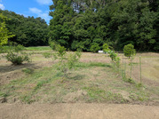 PXL_20260527_230005875