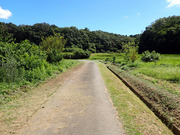P8260004