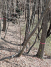 PXL_20260301_053645865