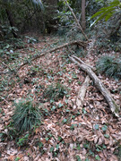 PXL_20260319_060007667