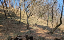 PXL_20260223_033428220