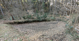 PXL_20260118_052515104