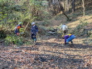 PXL_20260116_012424507