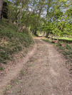 PXL_20260413_050714031