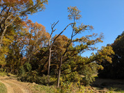 PXL_20251121_024653721