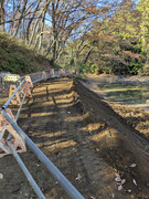 PXL_20251207_023739600