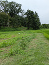 PXL_20260728_042743246