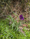 PXL_20260409_025939026