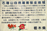 石尊山自然保護地域A