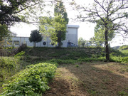 P4110008