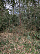 PXL_20260319_060040807
