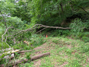 PXL_20260605_000429878