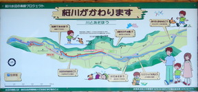 DSCN9253
