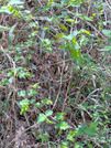PXL_20260403_022236688