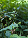 PXL_20260806_032213642