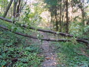 DSCN2121