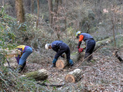 PXL_20260116_020047156