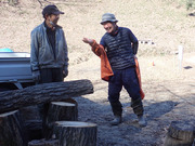 P1300038